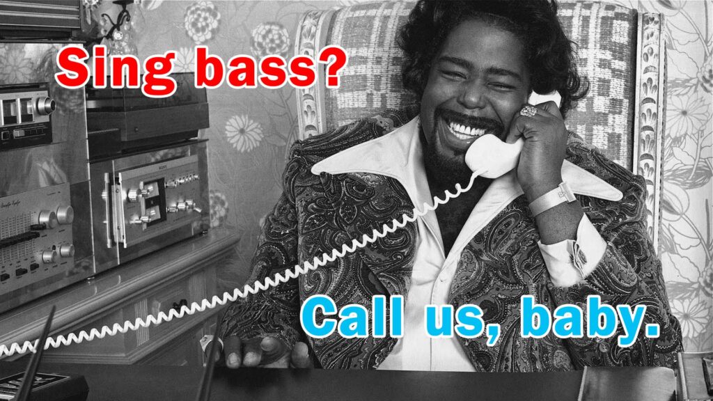 No Promises Vocal Band is seeking a bass singer